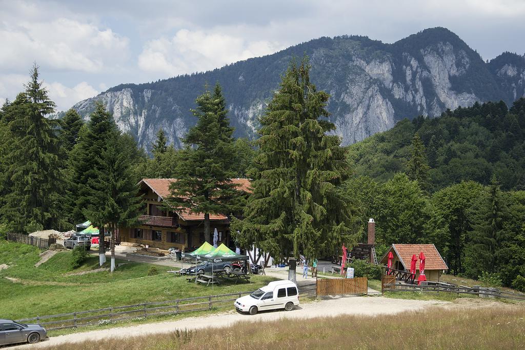 Hôtel Cabana Poiana Secuilor à Predeal Extérieur photo